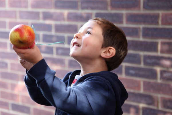 CATFORD AND BROMLEY SYNAGOGUE SUCCOT 2015
